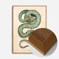 Vintage Canine Boa Snake Print
