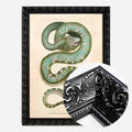 Black Ornate Frame
