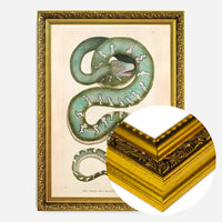 Vintage Canine Boa Snake Print
