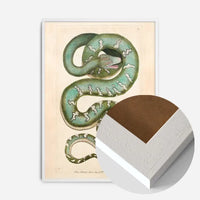 Vintage Canine Boa Snake Print