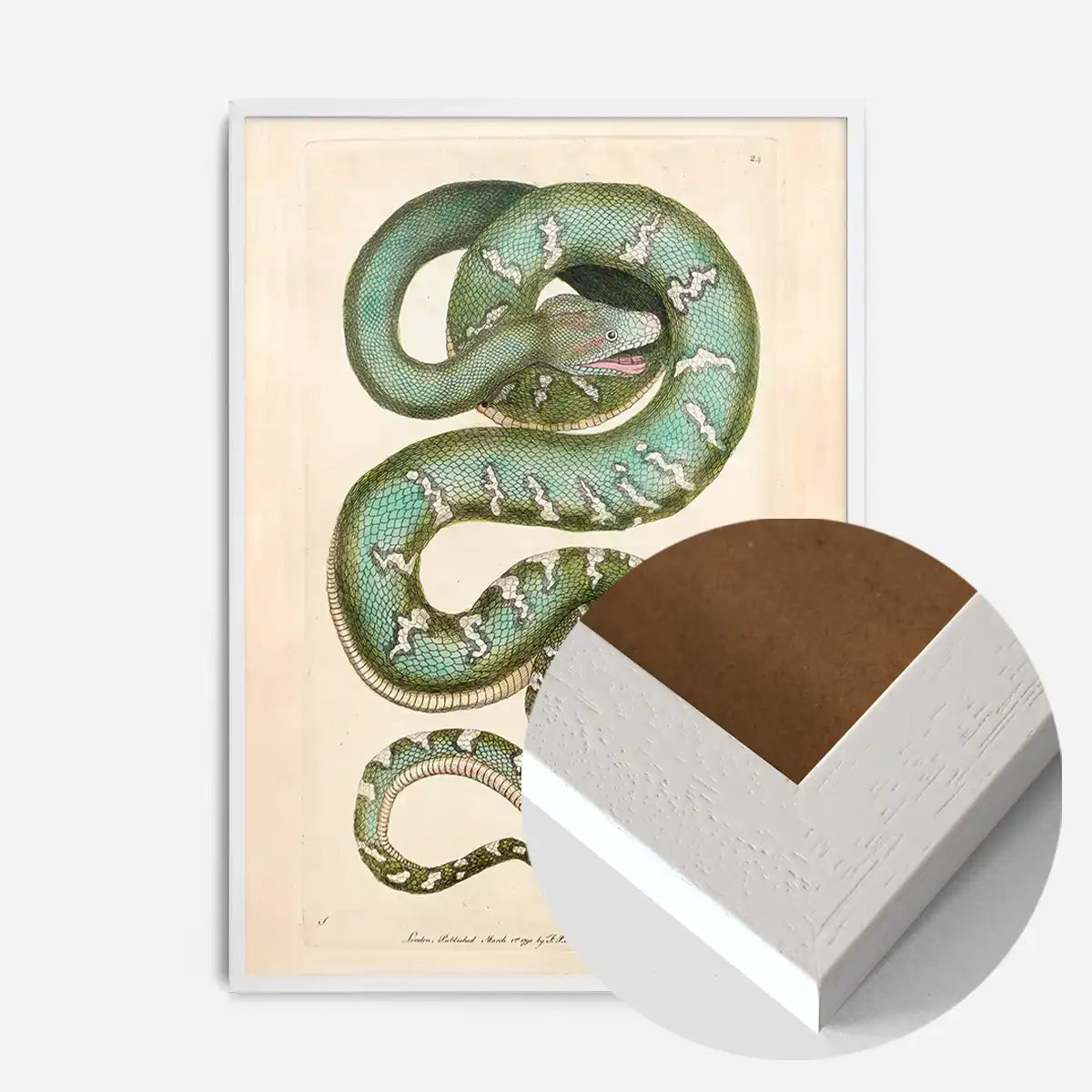 Vintage Canine Boa Snake Print