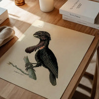 Vintage Purple Sided Gorgonia
