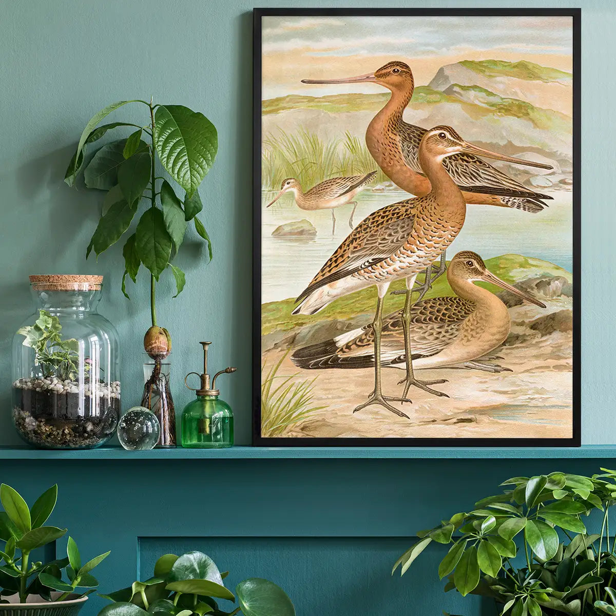 Black Tailed Godwit Vintage Bird Print by Johann Friedrich Naumann