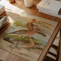 Black Tailed Godwit Vintage Bird Print by Johann Friedrich Naumann
