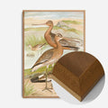 Oak Wood Frame