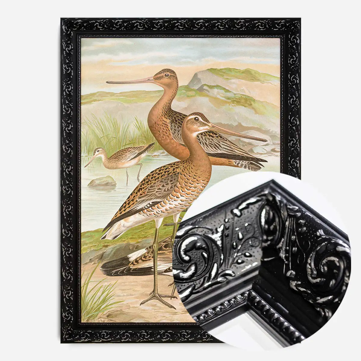 Black Tailed Godwit Vintage Bird Print by Johann Friedrich Naumann