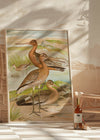 Black Tailed Godwit Vintage Bird Print by Johann Friedrich Naumann