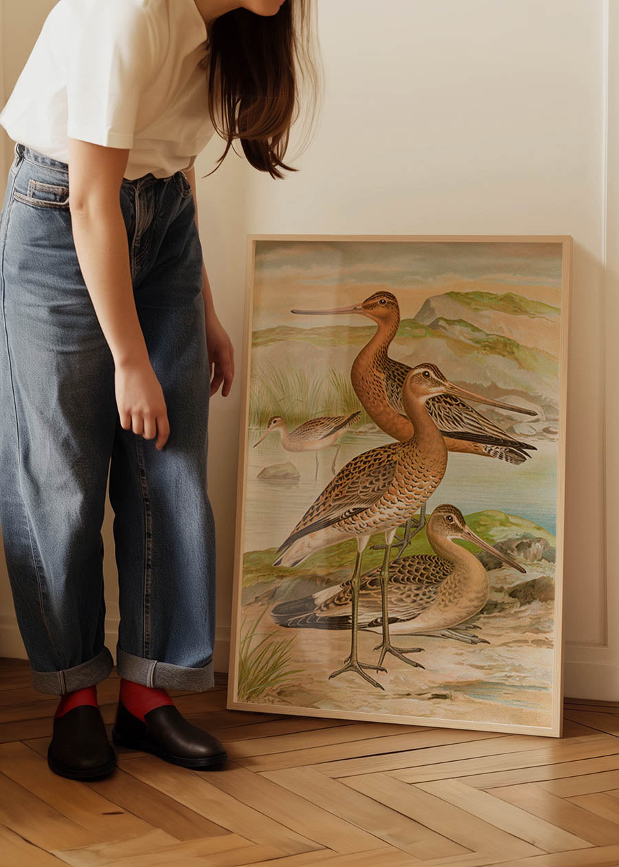 Black Tailed Godwit Vintage Bird Print by Johann Friedrich Naumann