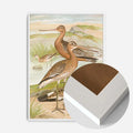 White Wood Frame