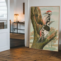 Whitebacked Woodpecker Vintage Bird Print by Johann Friedrich Naumann