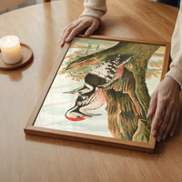 Whitebacked Woodpecker Vintage Bird Print by Johann Friedrich Naumann