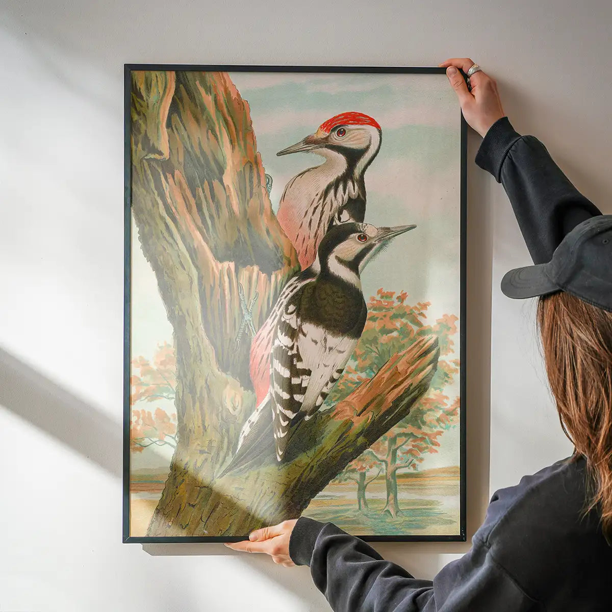 Whitebacked Woodpecker Vintage Bird Print by Johann Friedrich Naumann