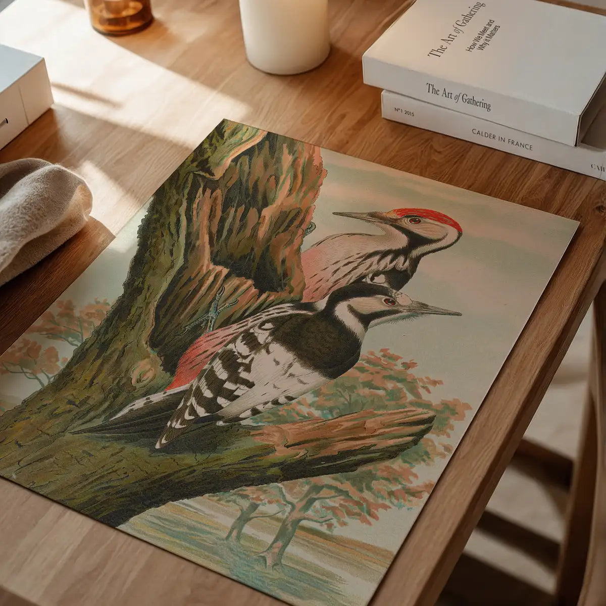 Whitebacked Woodpecker Vintage Bird Print by Johann Friedrich Naumann