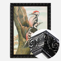 Whitebacked Woodpecker Vintage Bird Print by Johann Friedrich Naumann