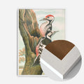 White Wood Frame