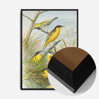 Yellow Wagtail Vintage Bird Print by Johann Friedrich Naumann