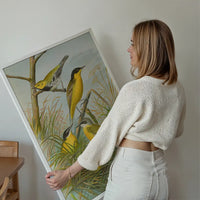 Yellow Wagtail Vintage Bird Print by Johann Friedrich Naumann