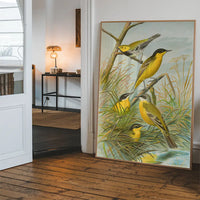 Yellow Wagtail Vintage Bird Print by Johann Friedrich Naumann