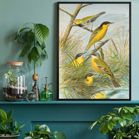 Yellow Wagtail Vintage Bird Print by Johann Friedrich Naumann