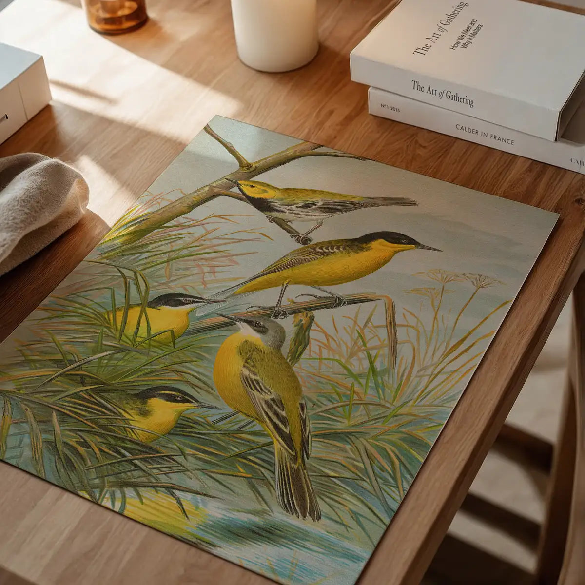 Yellow Wagtail Vintage Bird Print by Johann Friedrich Naumann