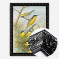 Black Ornate Frame