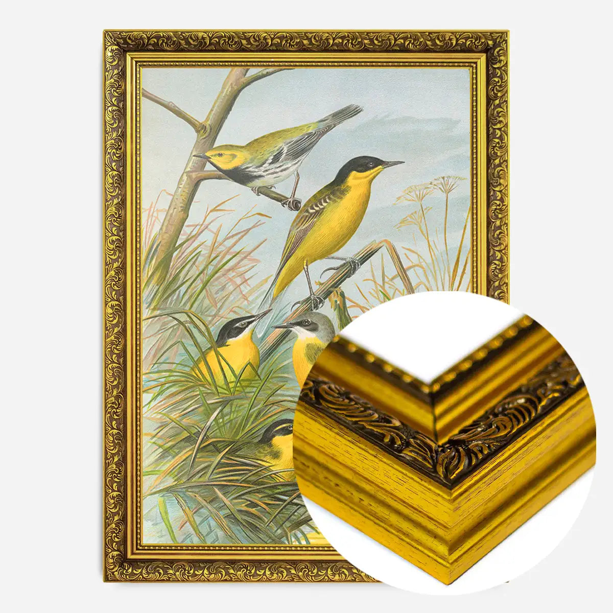 Yellow Wagtail Vintage Bird Print by Johann Friedrich Naumann