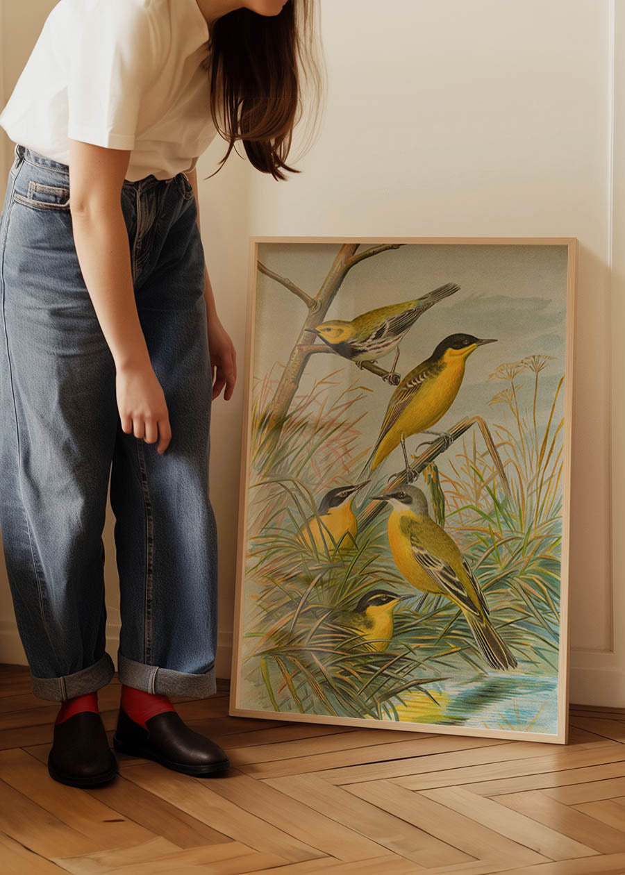 Yellow Wagtail Vintage Bird Print by Johann Friedrich Naumann