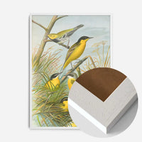 Yellow Wagtail Vintage Bird Print by Johann Friedrich Naumann