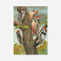 Spotted Woodpecker Vintage Bird Print by Johann Friedrich Naumann