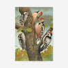 Spotted Woodpecker Vintage Bird Print by Johann Friedrich Naumann