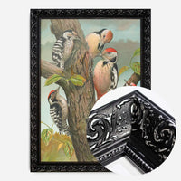 Spotted Woodpecker Vintage Bird Print by Johann Friedrich Naumann