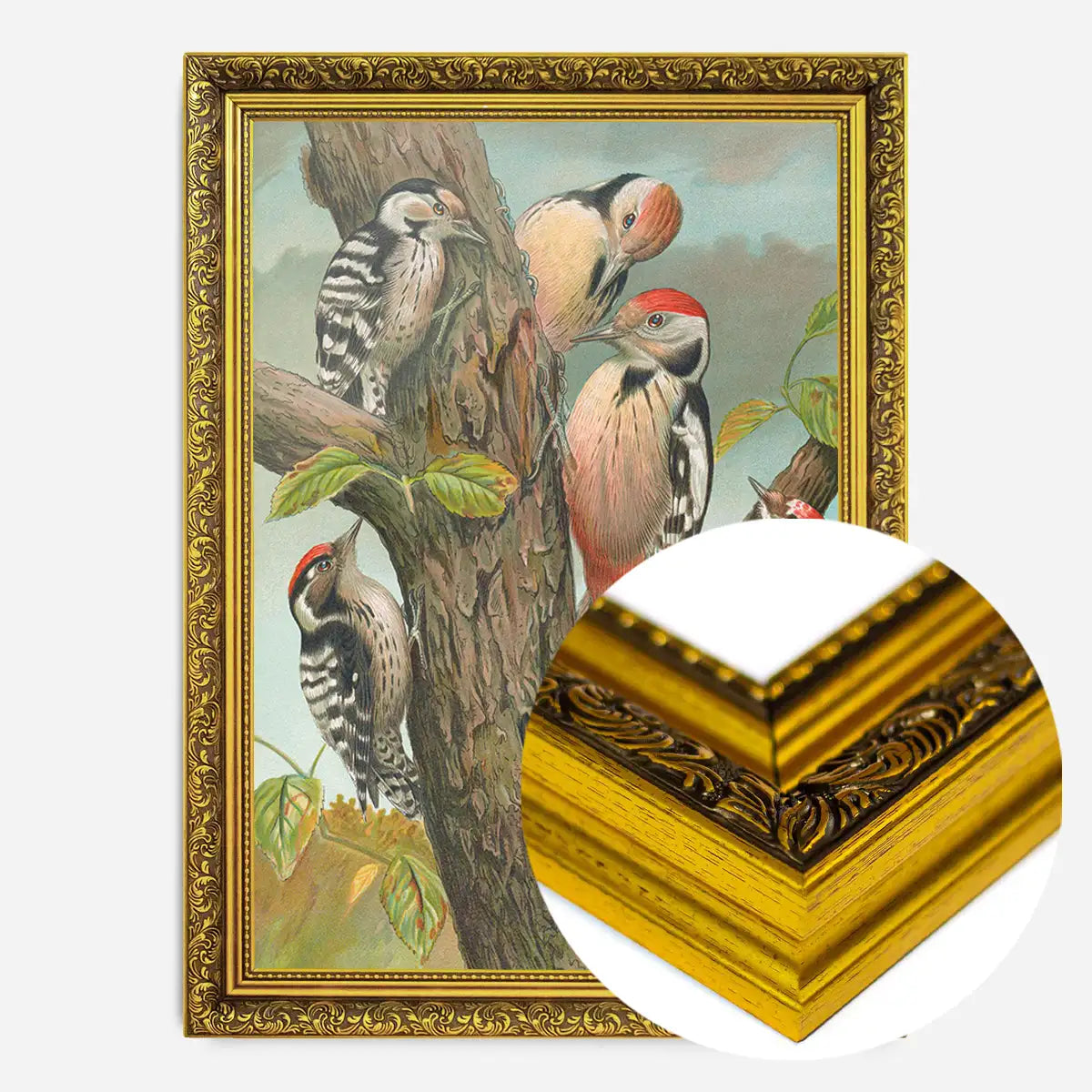 Spotted Woodpecker Vintage Bird Print by Johann Friedrich Naumann