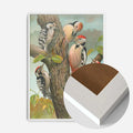 White Wood Frame