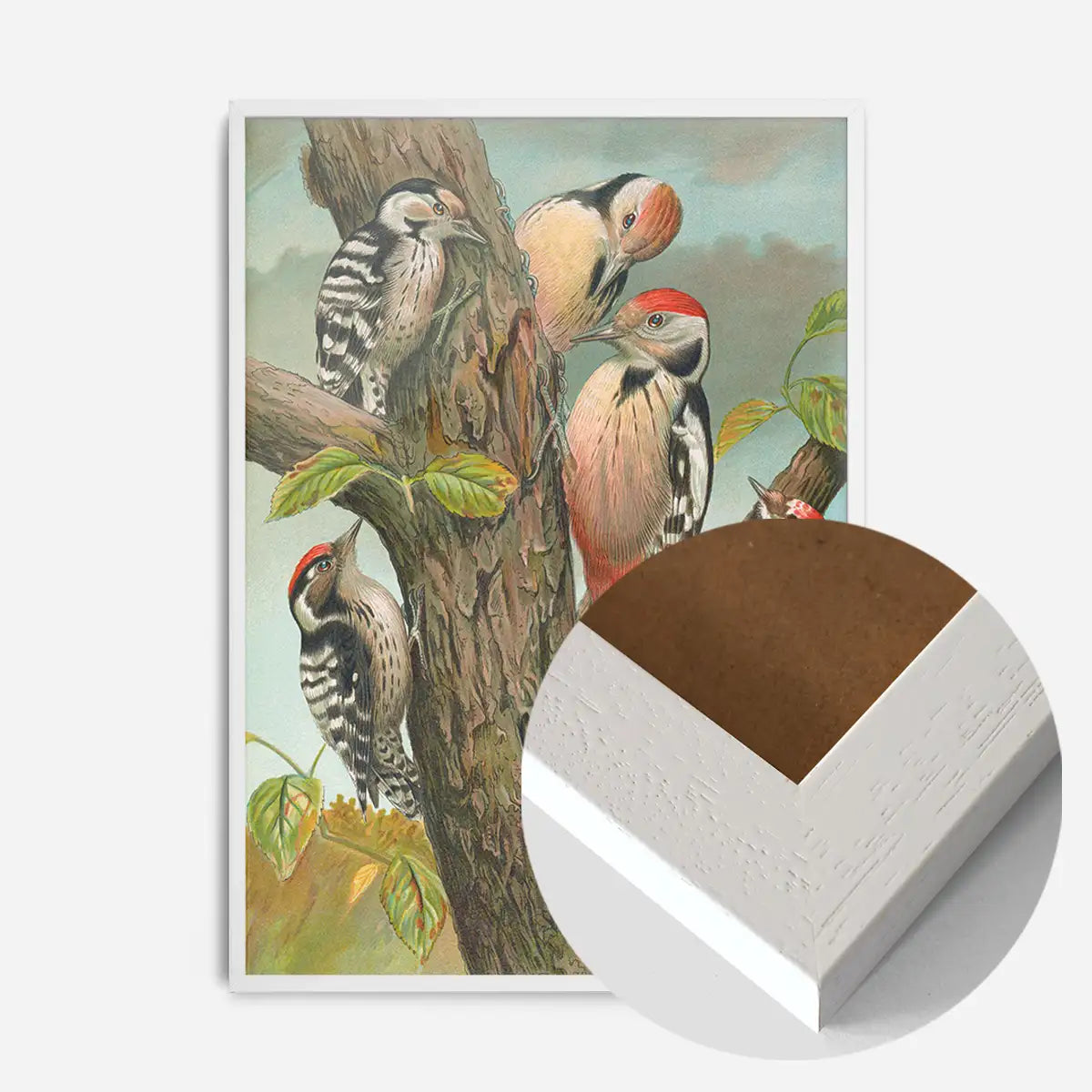 Spotted Woodpecker Vintage Bird Print by Johann Friedrich Naumann