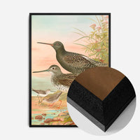 Spotted Redshank Vintage Bird Print by Johann Friedrich Naumann