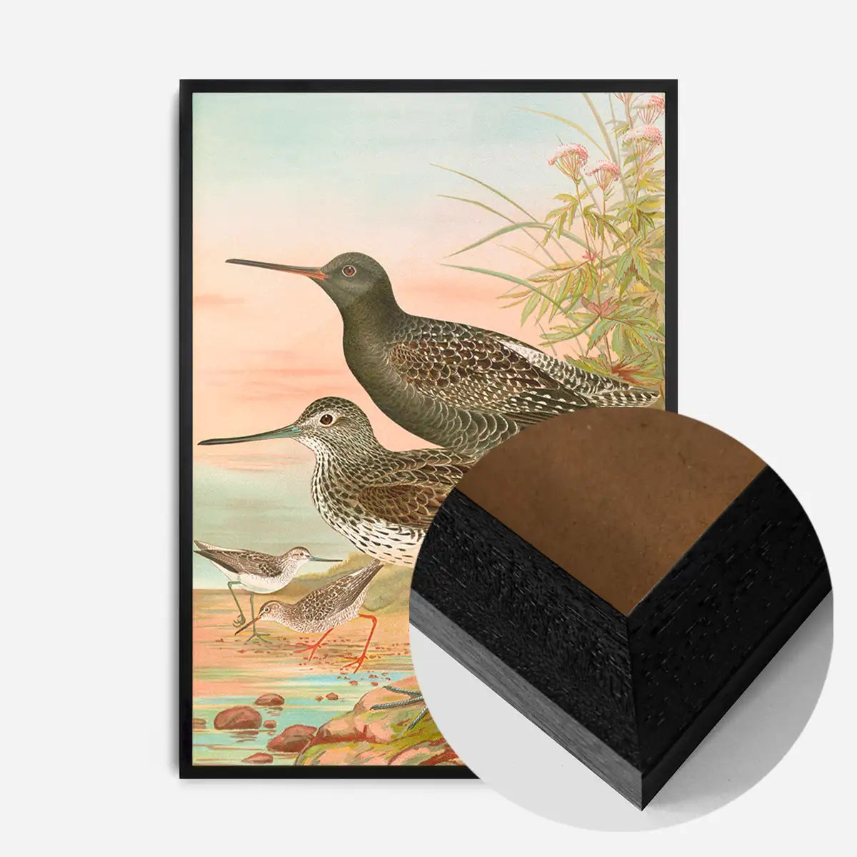 Spotted Redshank Vintage Bird Print by Johann Friedrich Naumann