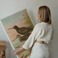 Spotted Redshank Vintage Bird Print by Johann Friedrich Naumann