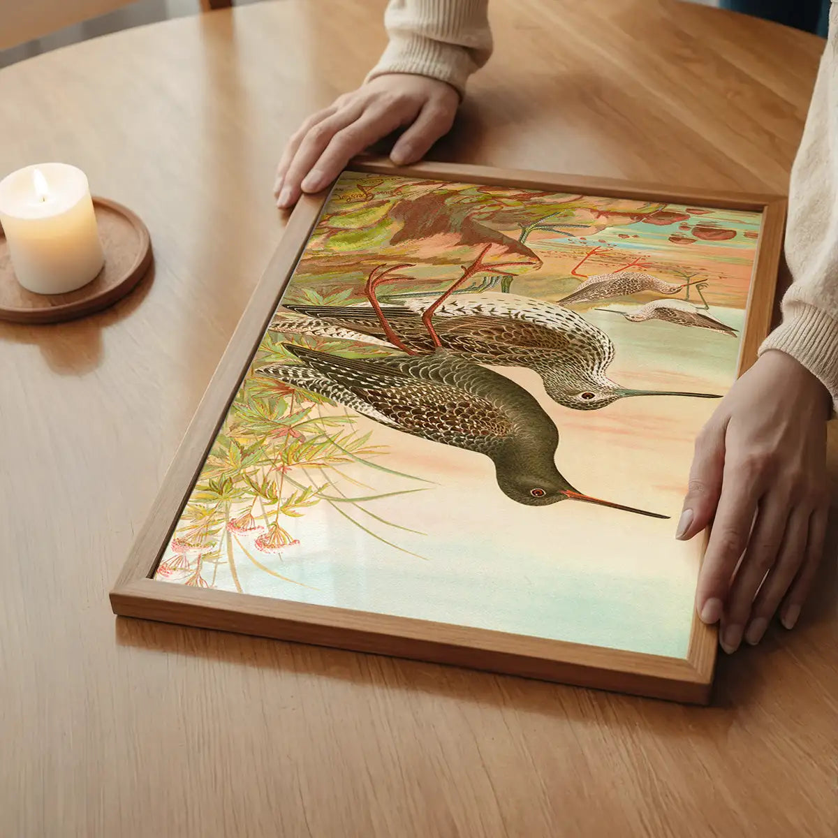 Spotted Redshank Vintage Bird Print by Johann Friedrich Naumann