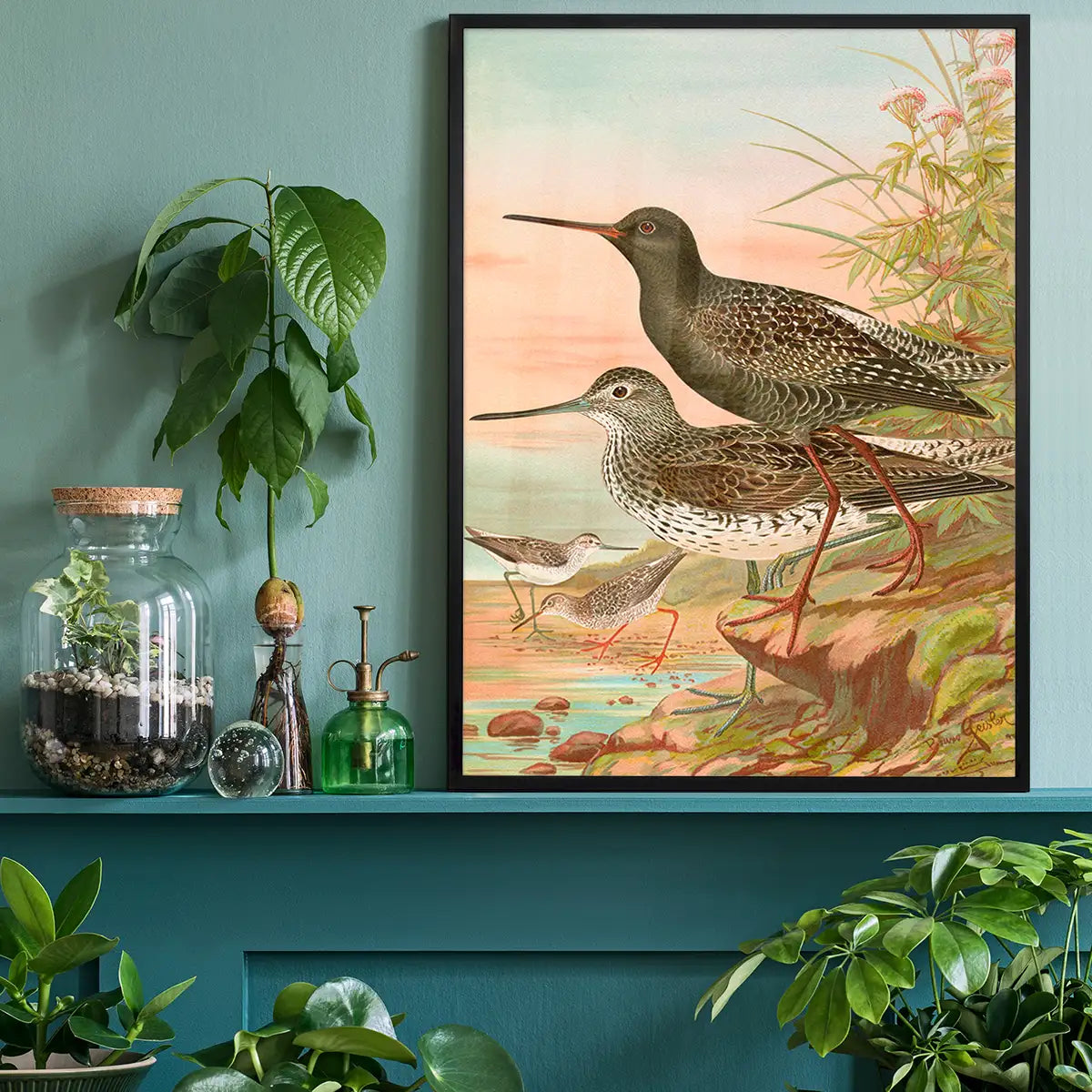 Spotted Redshank Vintage Bird Print by Johann Friedrich Naumann