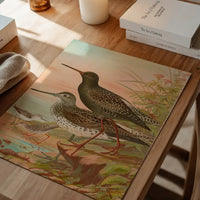 Spotted Redshank Vintage Bird Print by Johann Friedrich Naumann