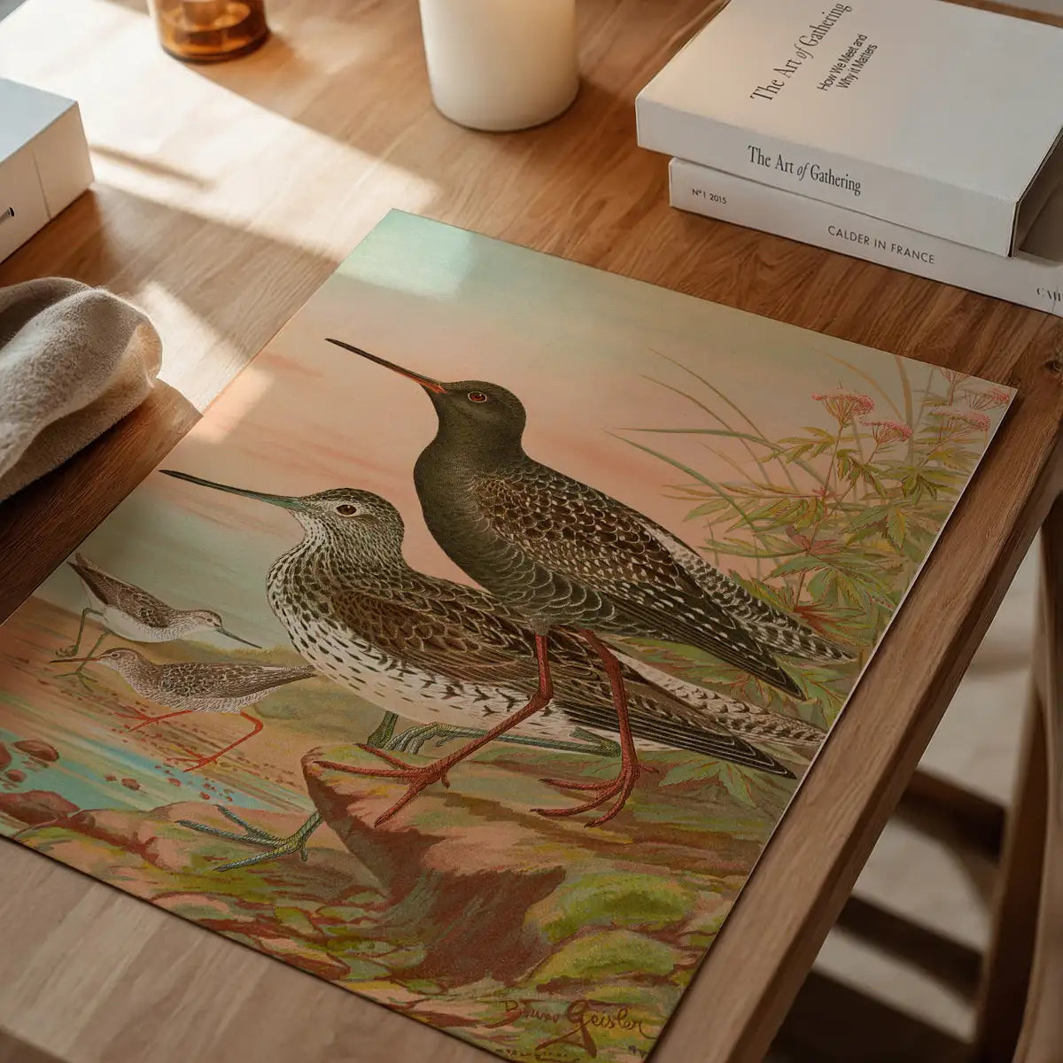 Spotted Redshank Vintage Bird Print by Johann Friedrich Naumann