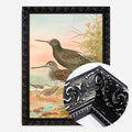 Black Ornate Frame