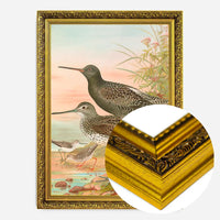 Spotted Redshank Vintage Bird Print by Johann Friedrich Naumann