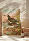 Spotted Redshank Vintage Bird Print by Johann Friedrich Naumann