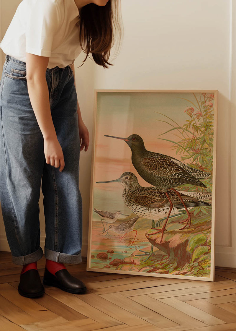 Spotted Redshank Vintage Bird Print by Johann Friedrich Naumann