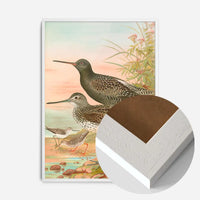 Spotted Redshank Vintage Bird Print by Johann Friedrich Naumann