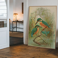 Common Kingfisher Vintage Bird Print by Johann Friedrich Naumann