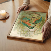Common Kingfisher Vintage Bird Print by Johann Friedrich Naumann