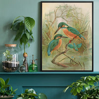 Common Kingfisher Vintage Bird Print by Johann Friedrich Naumann