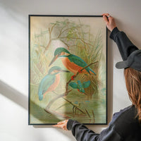 Common Kingfisher Vintage Bird Print by Johann Friedrich Naumann